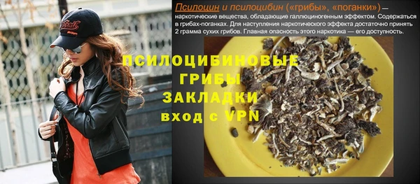 стафф Алзамай