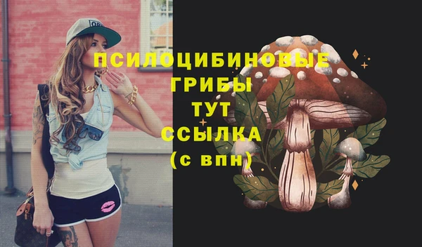 ПСИЛОЦИБИНОВЫЕ ГРИБЫ Алексин
